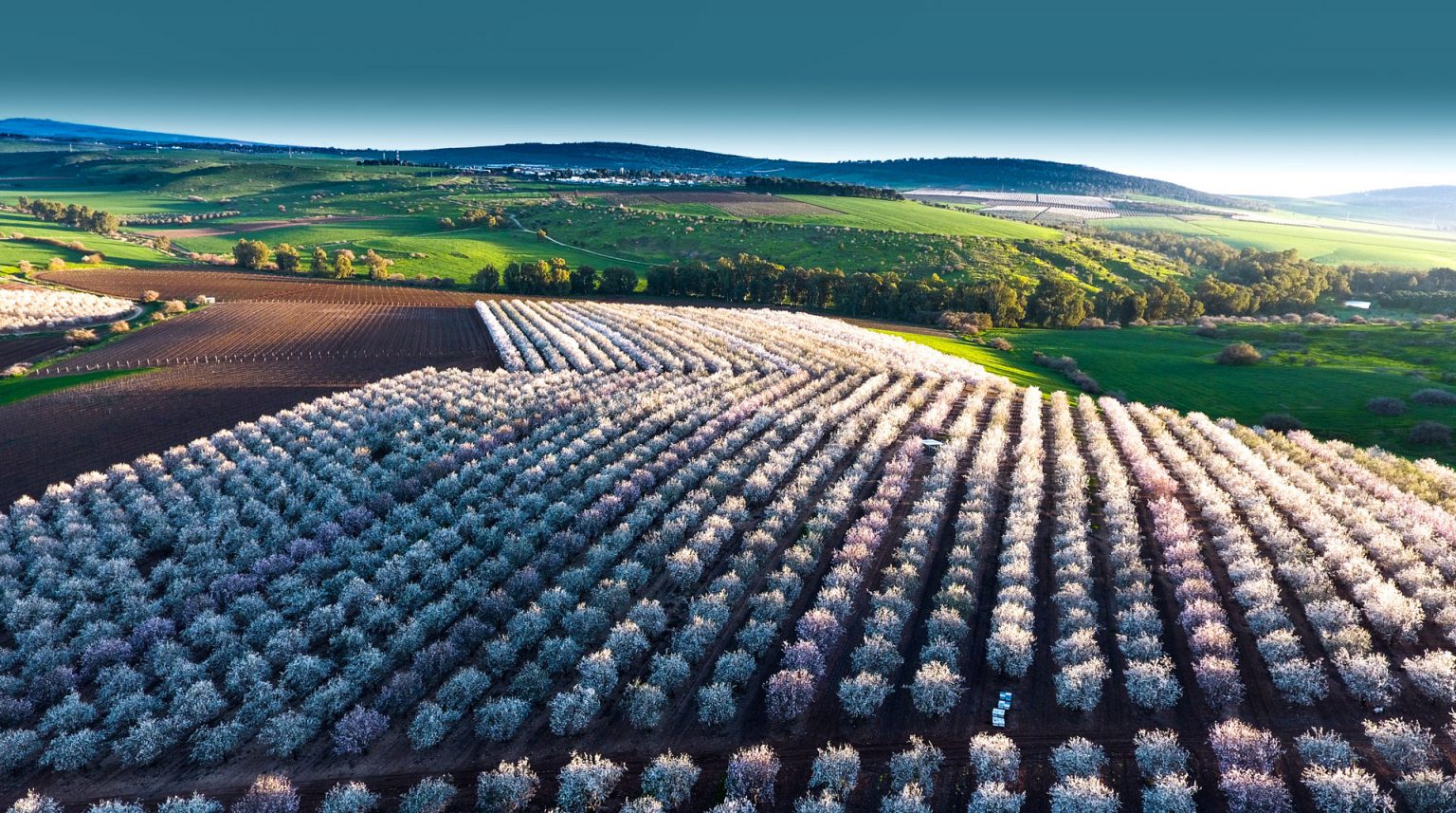About Us  Israel Agricultural Technology Amp Innovations Hub