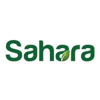 Sahara - Cairo
