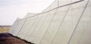 40 50 60 Mesh 125g Agriculture Greenhouse Anti Insect Net - China Anti Insect  Net, Anti Insect Netting