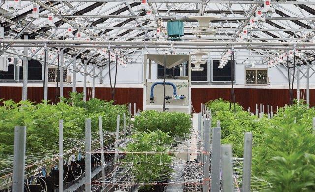 https://israelagri.com/wp-content/uploads/2022/07/Dehumidifier_Cannabis_Greenhouse_Indoor_DrygairPhoto-by-Lukas-Friedrich.jpg