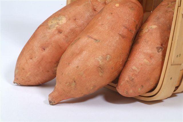 Organic Sweet Potatoe, overseas season update