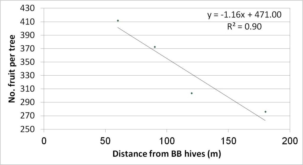 Improving ‘Hass’ Avocado Pollination with Bumblebees Increases Yield ...