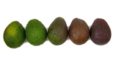 Testing avocado ripeness with new technology
