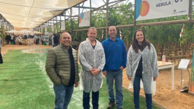In a greenhouse for growing tomatoes, Haim Rosenblum from Hishtil meets Lior Kushnir from Zeraim Gedera