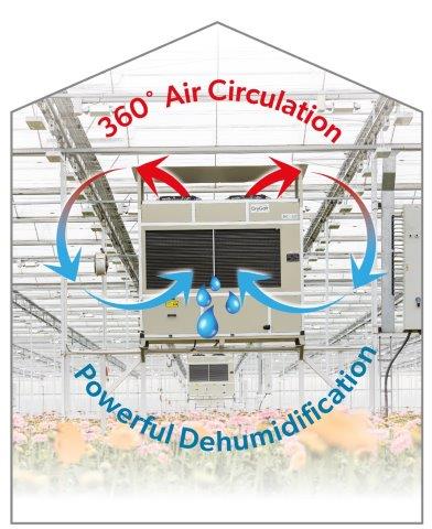 Optimal Humidity and Temperature for Greenhouse Growing - DryGair