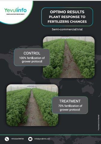 reducing the amount of fertilizers by 30% using OPTIMO™ under semi-ommercial conditions 