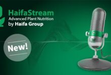 Heifa Group podcast logo