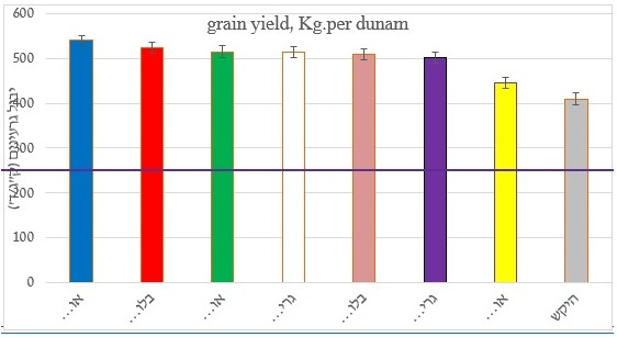 wheat (cv. 'Kitain') grain yield (kg. per dunam), per treatment