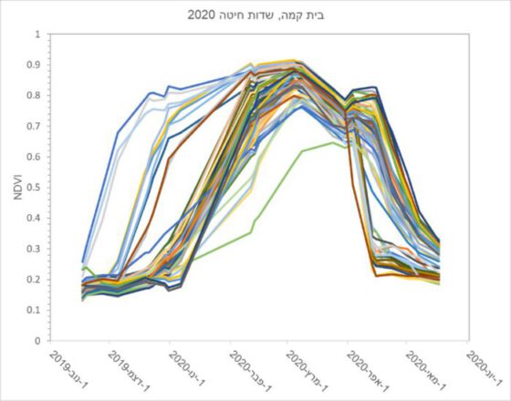 the horizontal axis presents the NDVI measurement date 