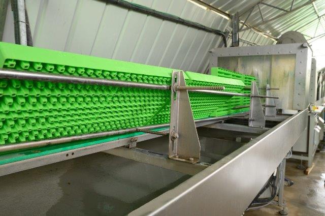 Limex rinsing and disinfecting machine, designed for repeated cleaning of plastic trays