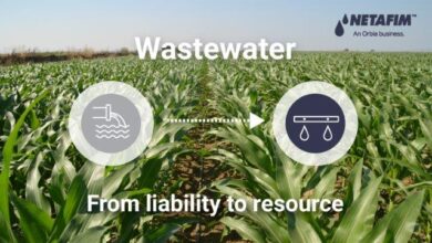 Purified-wastewater-in-agriculture-2024