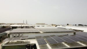 Solar Energy Panels at Ashkelon nursey