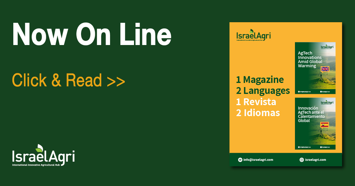 Bilingual digital magazine