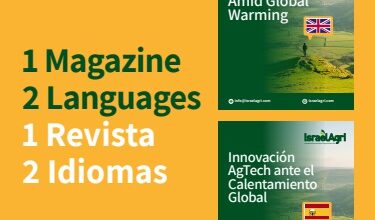 Bilingual magazine - Spanish English