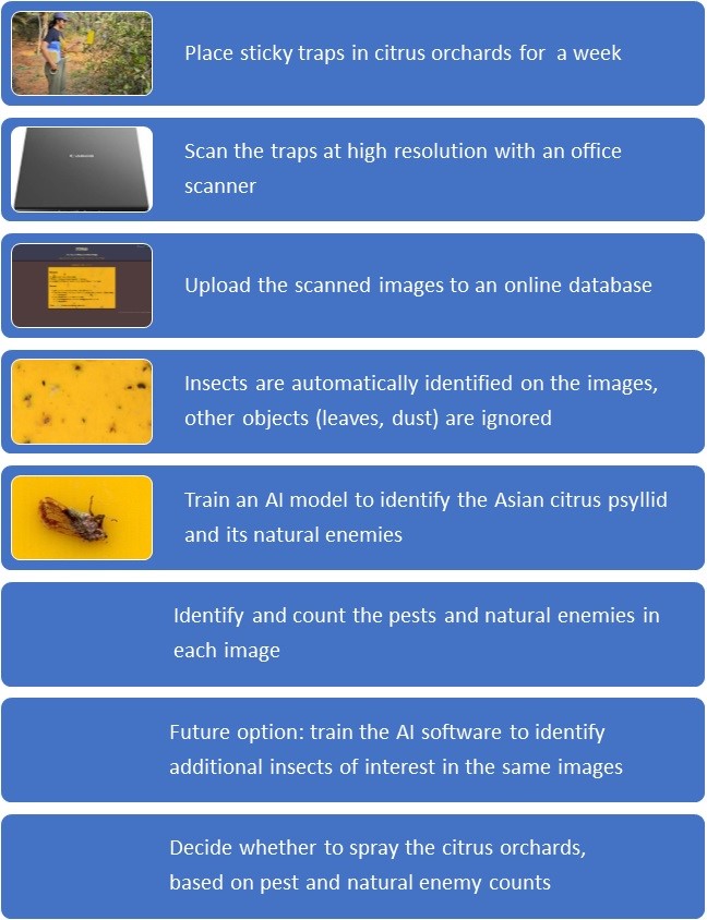 Schematic workflow in the STARdbi system