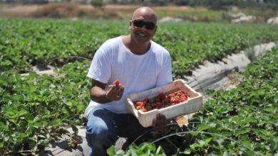 Growing Barries in Israel