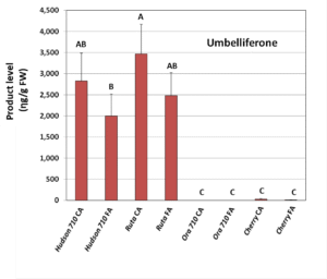 Figure 3. Activity assay product levels (umbelliferon-A and scopoletin-B) after expression of Hudson's 'Gene 710', positive control from a different plant (Rutagraveolens), Ora's 'Gene 710' and negative control (Cherry fluorescent protein) in tobacco leaves. Substrates were coumaric acid (CA) or ferulic acid (FA). Shown are means ± SE of three replicates. Different letters indicate statistically significant differences in product content (Fisher’s LSD test, P < 0.05).