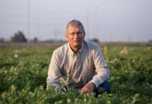 Dr. Eyal Vardi, Founder & CEO, OriGene Seeds Ltd.