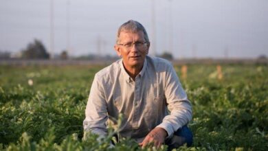 Dr. Eyal Vardi, Founder & CEO, OriGene Seeds Ltd.