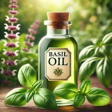 Basil oil