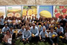 Origene Seeds team