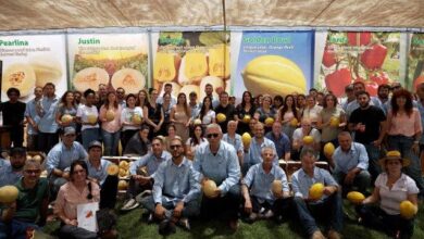 Origene Seeds team