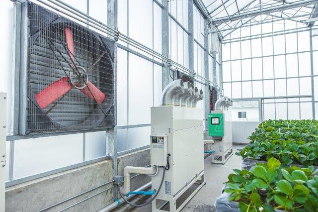 GrowDirector horticulture automation for Greenhouses