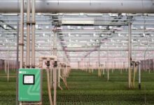 GrowDirector horticulture automation for Greenhouses