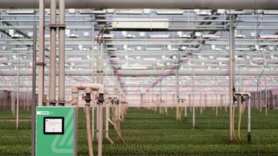 GrowDirector horticulture automation for Greenhouses