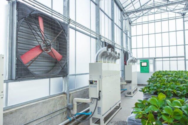 GrowDirector horticulture automation for Greenhouses