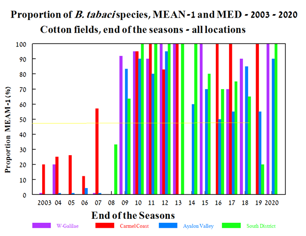 Fig. 2 - Proportion of MEAM-1 and MED species of Bemisia tabaci collected in various locations of Israel during the 2003 – 2020 cotton late seasons