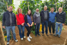 Origene Seeds Team