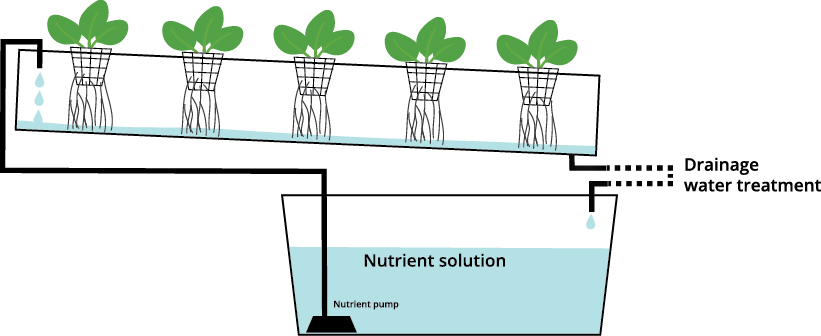 Hydrophonic System