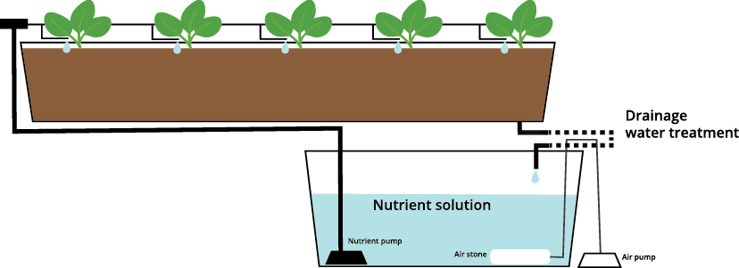 soilless_substrate_1