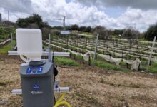 AccuRite, a closed transfer dosing system in winyard