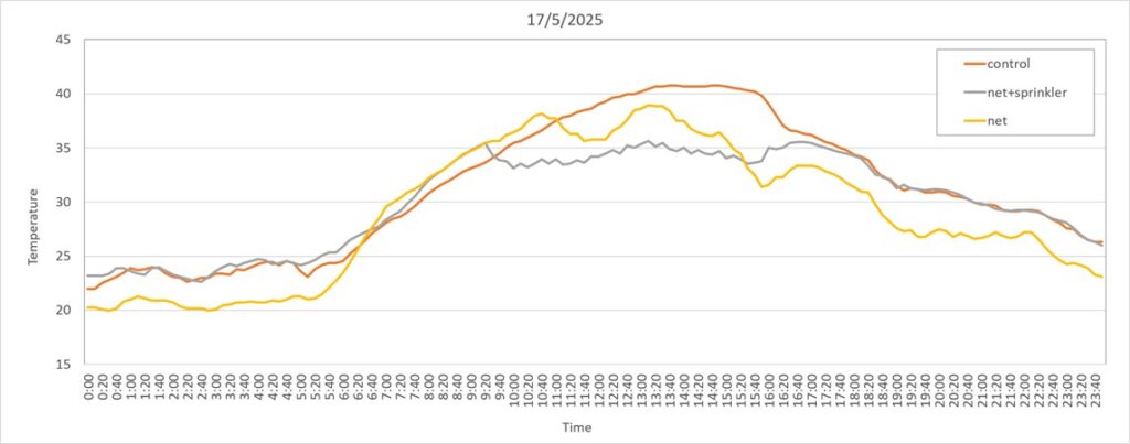 Figure 1: Temperature changes throughout the day, during the second heat wave, Ravid plot, 17/5/2025