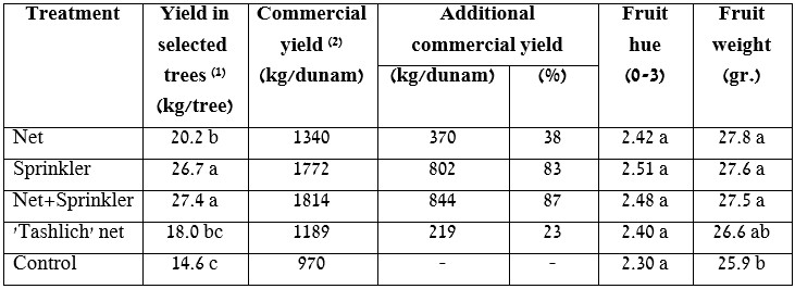 Table 2: Fruit yield and quality in the nets+sprinkler experiment, Ravid plot, 2025