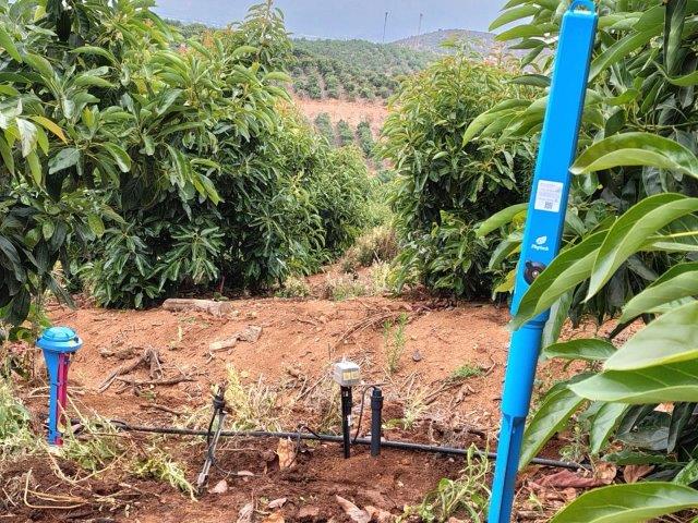 Phytech Precision Irrigation- in Orchards