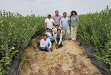 The Team in the field