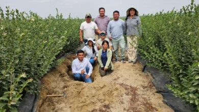 The Team in the field