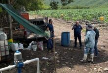 Mixrite in the field