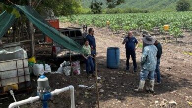 Mixrite in the field