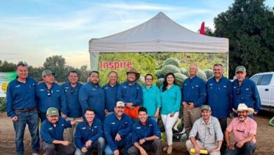 Origene Seeds team at Woodland event