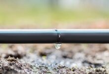 Metzer Smart Irrigation