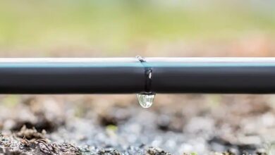 Metzer Smart Irrigation
