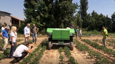 RHIC Demonstration at CIO, Piacenza, Italy