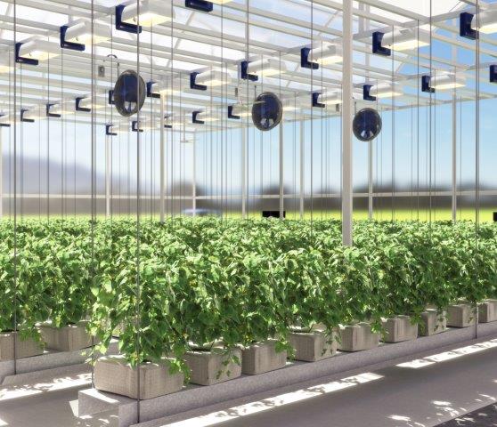 Greenhouses installation in the age of the COVID-19 outbreak - Israel  Agricultural Technology & innovations Hub